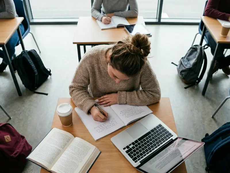 Beginners-Introductory Guide For Effective Essay Writing